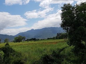 Udzungwa Mountains National Park