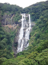 Udzungwa Mountains Forest