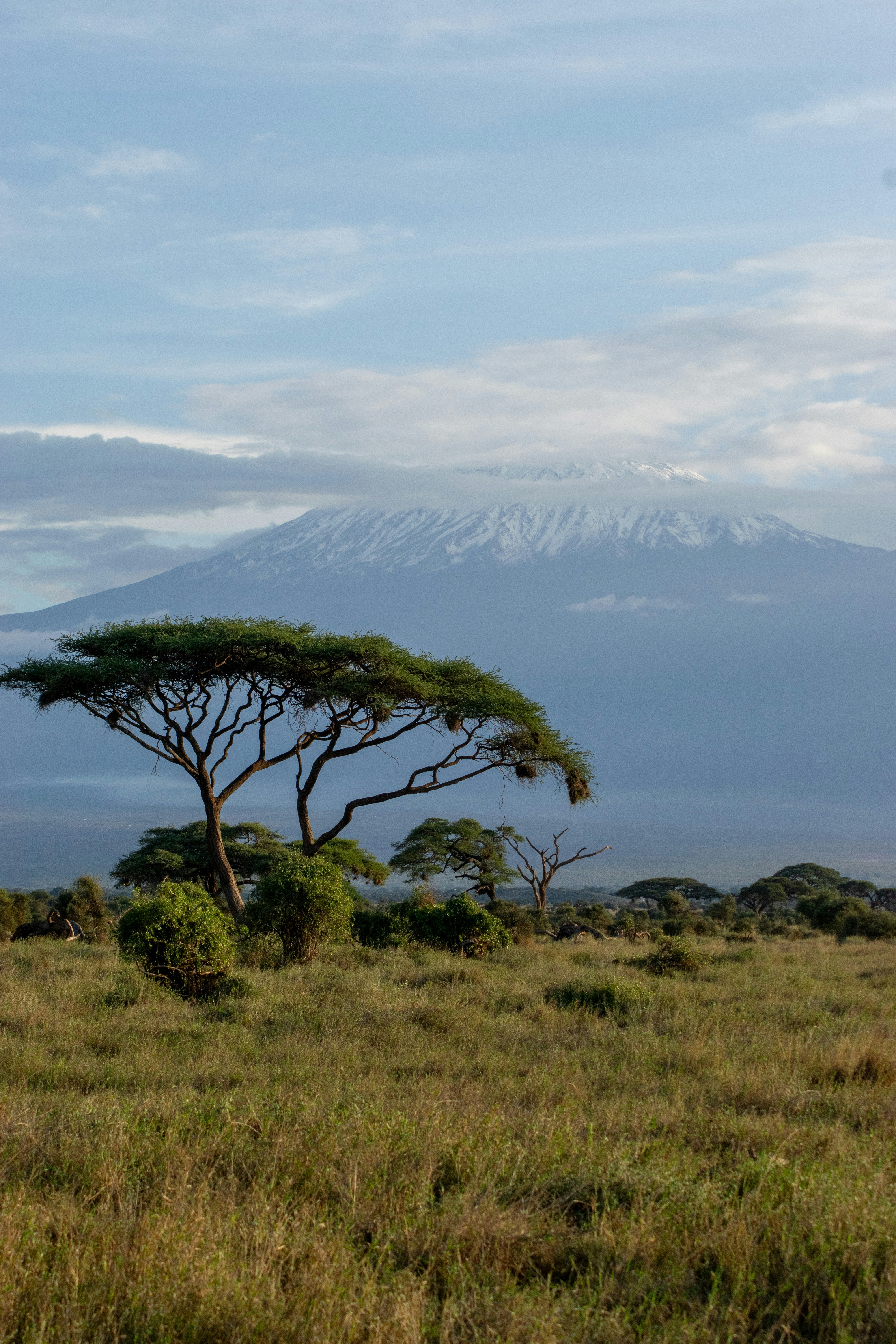Tanzanian Landscape