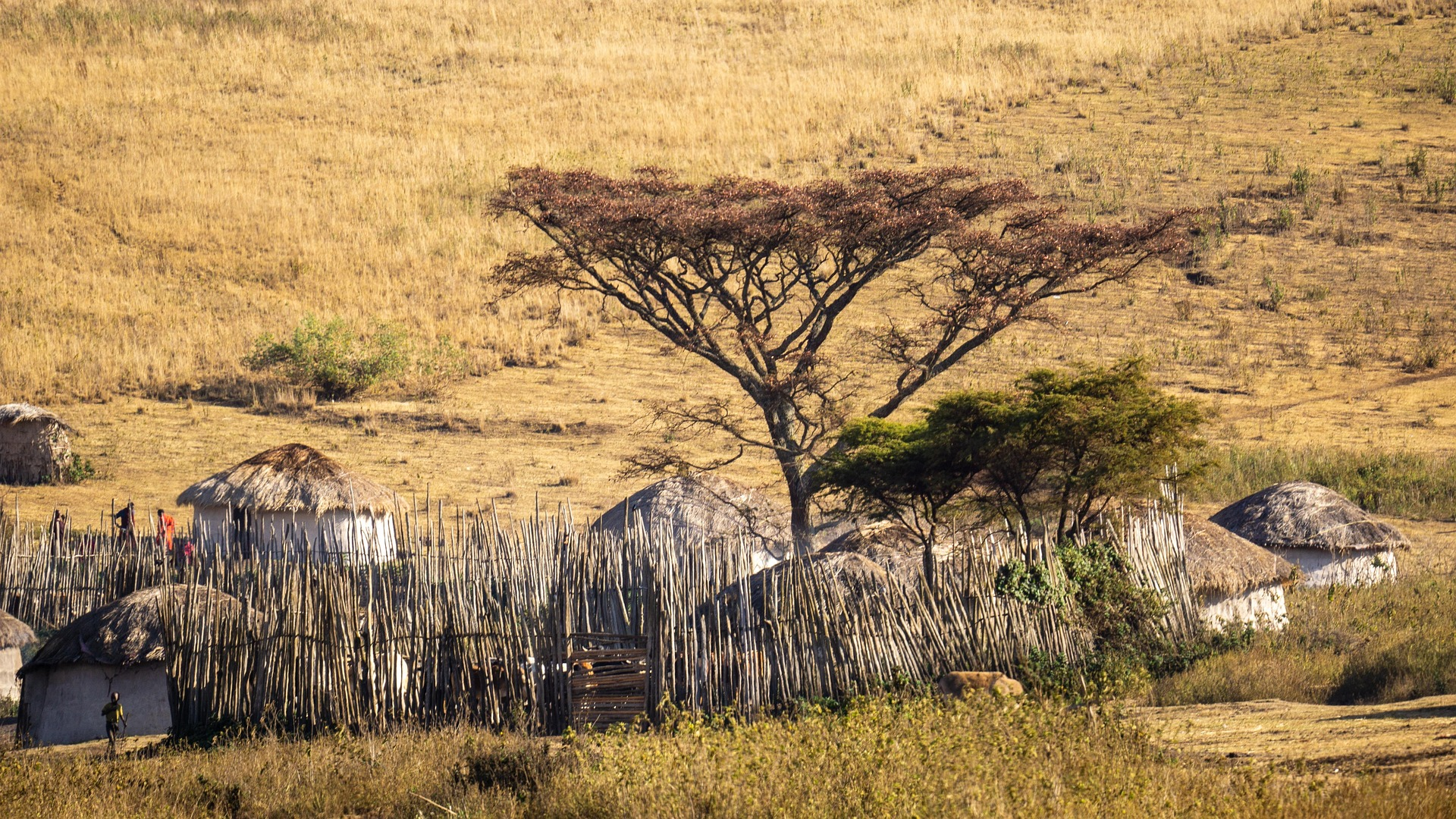 Cultural Tanzania