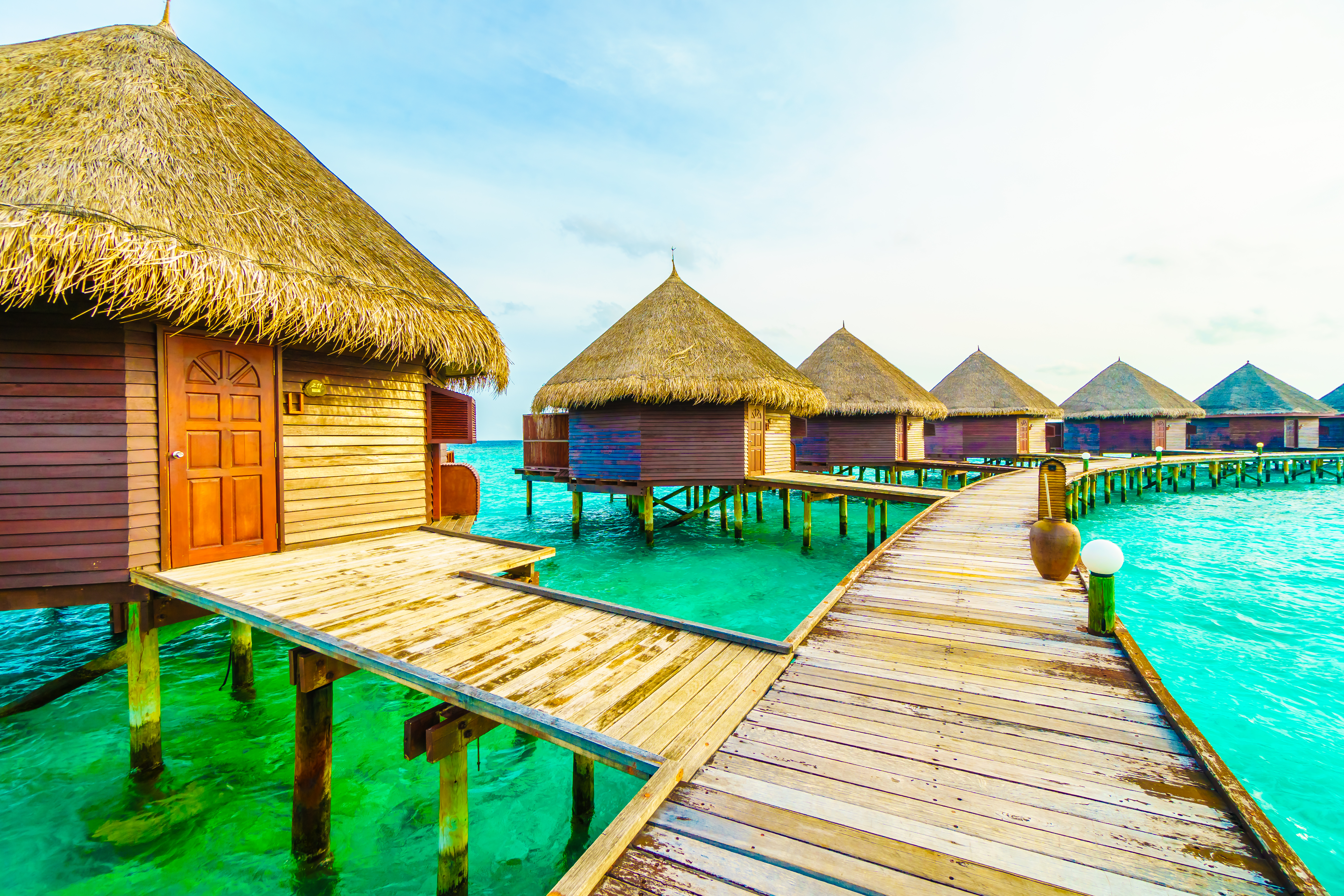 Beach Paradise