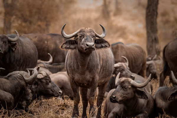 Lake Manyara