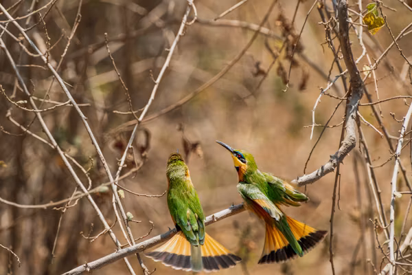Lake Manyara